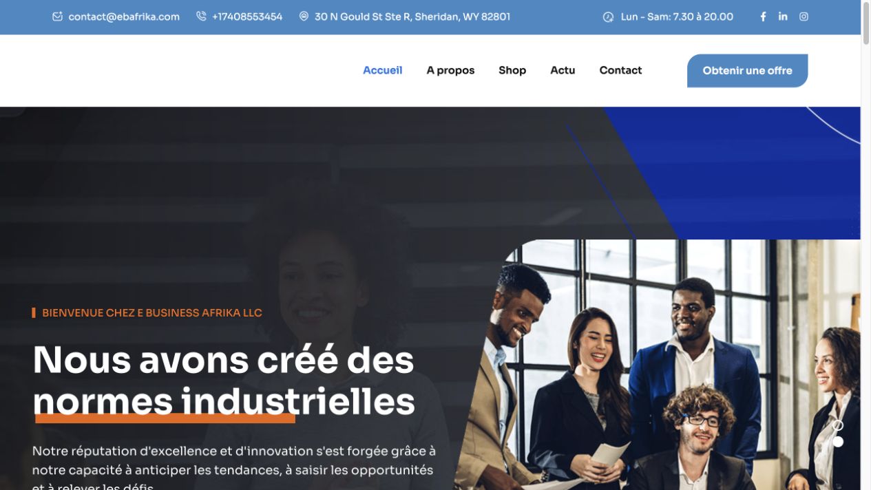Aperçu du site E-Business Afrika LLC